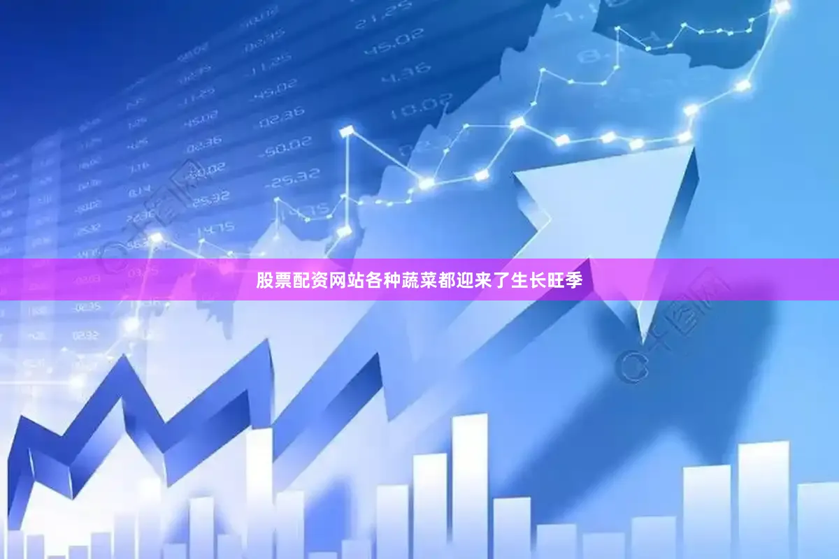股票配资网站各种蔬菜都迎来了生长旺季