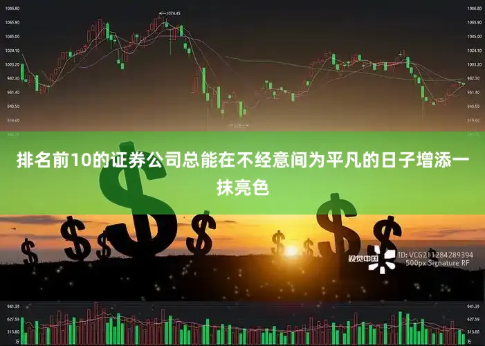 排名前10的证券公司总能在不经意间为平凡的日子增添一抹亮色