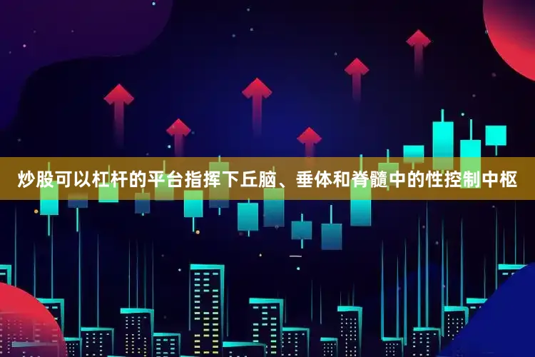 炒股可以杠杆的平台指挥下丘脑、垂体和脊髓中的性控制中枢