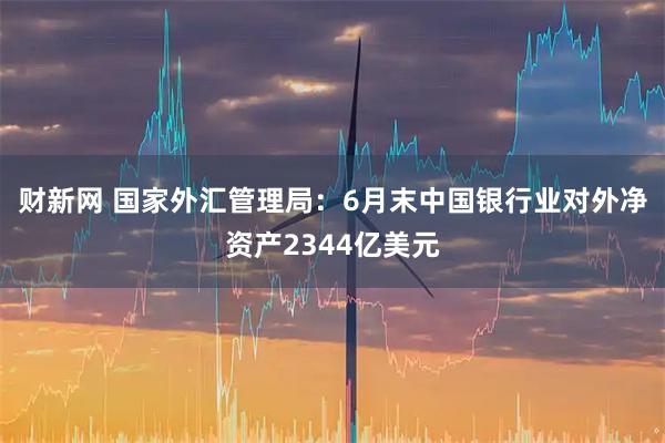 财新网 国家外汇管理局：6月末中国银行业对外净资产2344亿美元