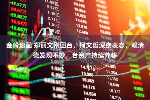 金岭速配 郑丽文刚回台，柯文哲深夜表态，赖清德发现不妙，台资产持续外移