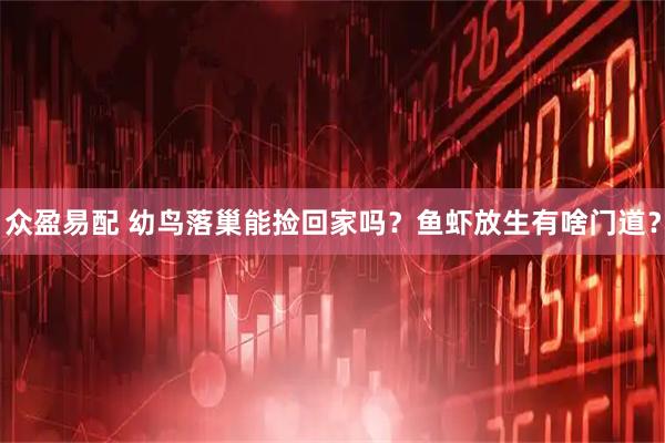众盈易配 幼鸟落巢能捡回家吗？鱼虾放生有啥门道？